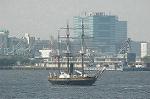 Dcim4761/DSC_7911