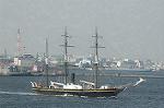 Dcim4761/DSC_7924