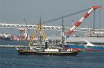 Dcim4761/DSC_7942