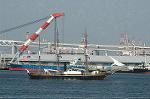 Dcim4761/DSC_7944