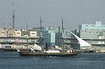 Dcim4761/DSC_7950