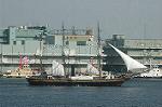 Dcim4761/DSC_7952