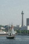 Dcim4761/DSC_7972