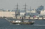Dcim4761/DSC_8018