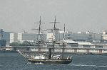 Dcim4761/DSC_8024