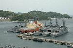 Dcim4765/DSC_8226