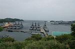 Dcim4765/DSC_8234
