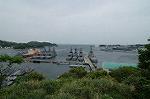 Dcim4765/DSC_8236