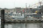 Dcim4766/DSC_8357