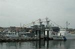 Dcim4766/DSC_8359