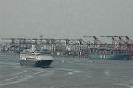 Dcim4768/DSC_8488