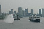 Dcim4768/DSC_8541