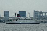Dcim4768/DSC_8601