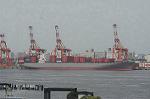Dcim4774/DSC_4381