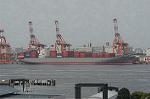 Dcim4774/DSC_4382