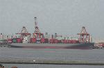 Dcim4775/DSC_4474