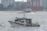 Dcim4779/DSC_5038