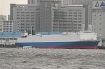 Dcim4781/DSC_5261