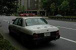 Dcim4785/DSC_9441