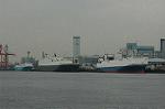 Dcim4786/DSC_9491