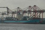 Dcim4786/DSC_9539
