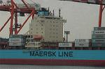 Dcim4786/DSC_9555