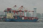 Dcim4786/DSC_9557