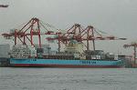 Dcim4786/DSC_9579