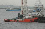 Dcim4787/DSC_9630