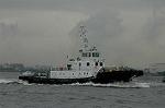 Dcim4789/DSC_9904