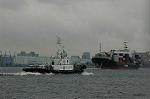Dcim4789/DSC_9905