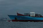 Dcim4790/DSC_0013