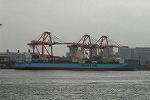Dcim4791/DSC_5191