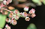 Dcim4795/DSC_0378