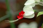 Dcim4797/DSC_0621