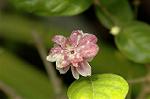 Dcim4797/DSC_0656