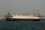 Dcim4798/DSC_0801