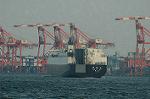 Dcim4798/DSC_0806