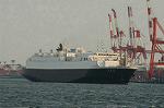 Dcim4800/DSC_5515