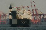 Dcim4800/DSC_5543
