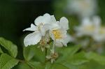 Dcim4803/DSC_0941
