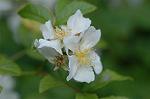 Dcim4803/DSC_0945