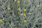 Dcim4804/DSC_1052