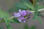 Dcim4804/DSC_1068