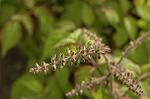 Dcim4806/DSC_1329