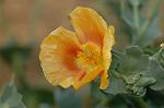 Dcim4806/DSC_1341