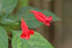 Dcim4807/DSC_1463