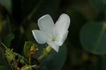 Dcim4807/DSC_1471