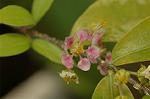 Dcim4807/DSC_1503