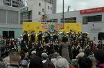 Dcim4809/DSC_1773